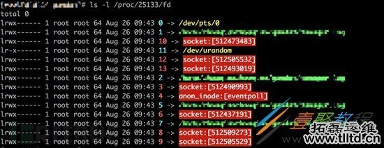 Linux进程网络流量统计的实现过程