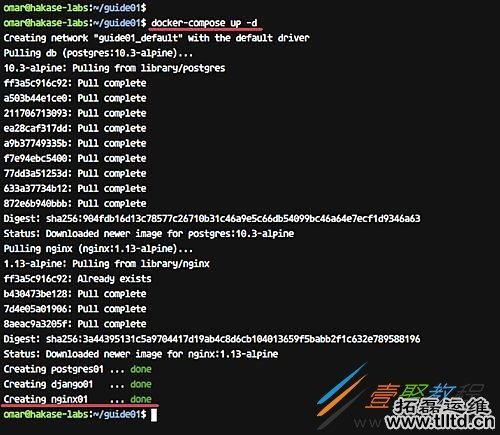 如何Docker化Python Django应用程序