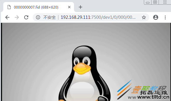 Nginx反代Mogilefs分布式储存示例详解