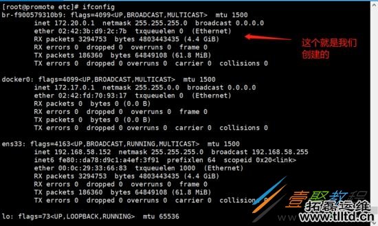 Docker容器之内网独立IP访问的方法