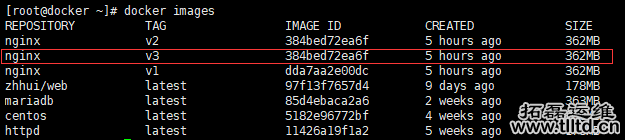 使用dockerfile构建nginx镜像的方法示例