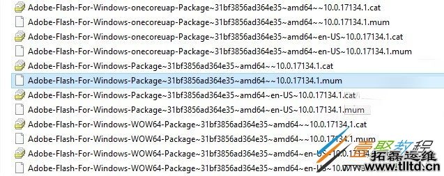 Win10Adobe Flash Player插件如何彻底删除 彻底删除方法