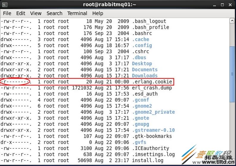 CentOS下RabbitMq高可用集群环境搭建教程